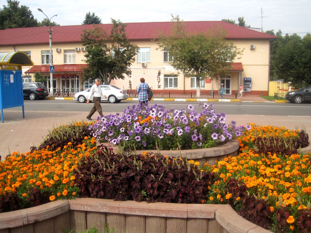 Мой город - Елена Семигина Мой город - Елена Семигина