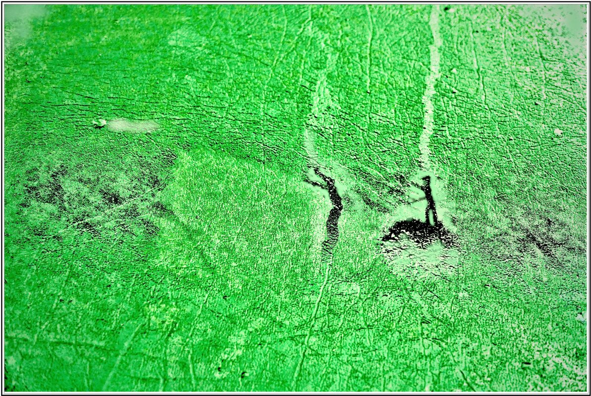 КРИК-картина... - Elvira E. 