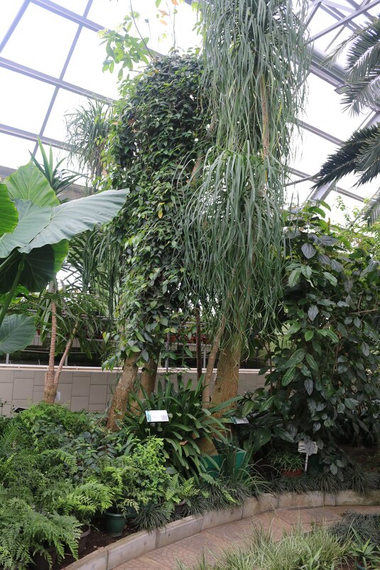 Заполярные тропики - Ольга Заполярные тропики - Ольга