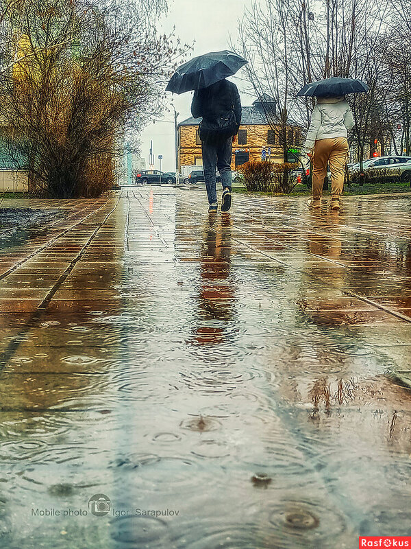 Сегодняшний дождь. - Игорь Сарапулов Сегодняшний дождь. - Игорь Сарапулов