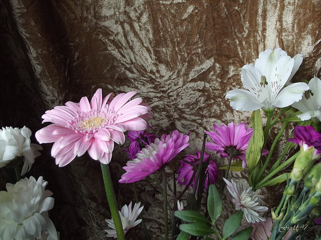 Букет - Freddy 97 Букет - Freddy 97