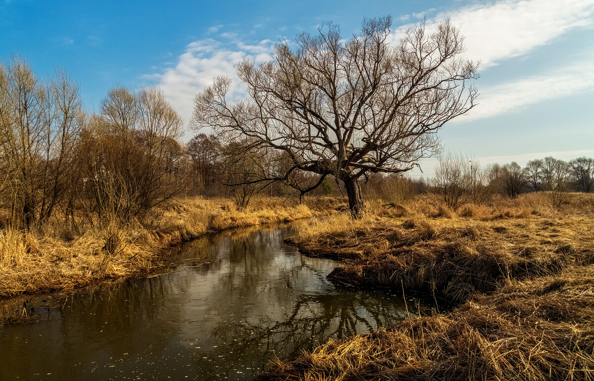 Весна набирает обороты 3 - Андрей Дворников
