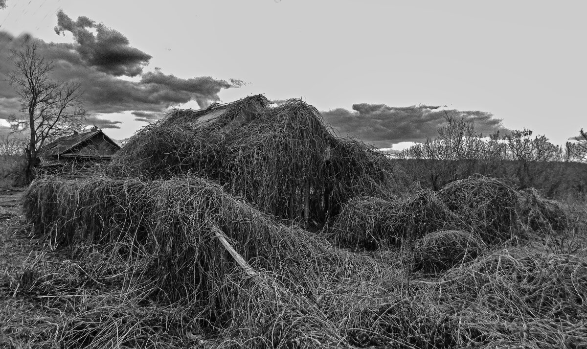 Быльём поросло... - Валерий Кролик