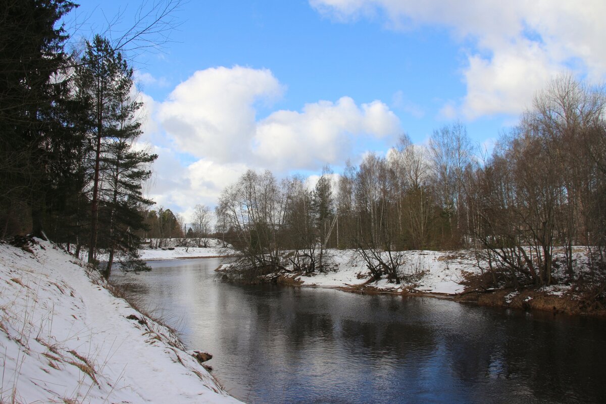 Март, р. Оредеж - Наталья Герасимова Март, р. Оредеж - Наталья Герасимова