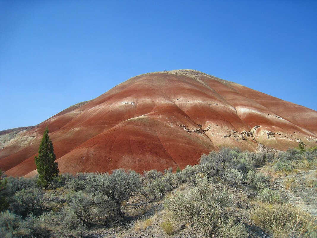 Разноцветный кусочек Америки. - unix (Илья Утропов)
