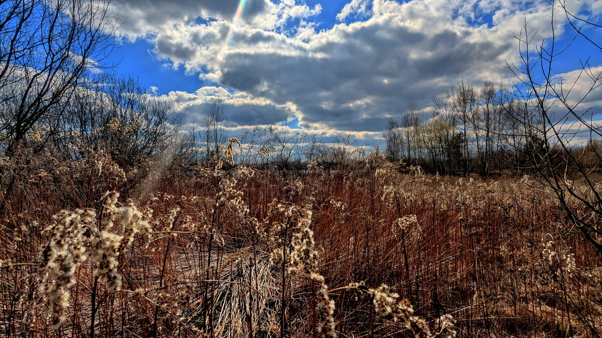 природа конца марта 3 - Александр Прокудин