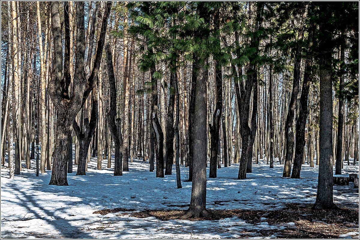 Про март - Aquarius - Сергей Про март - Aquarius - Сергей