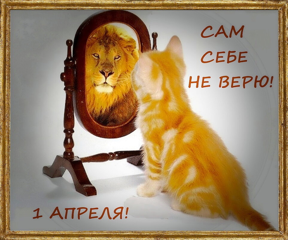 Глазам не верю! - Ольга Довженко