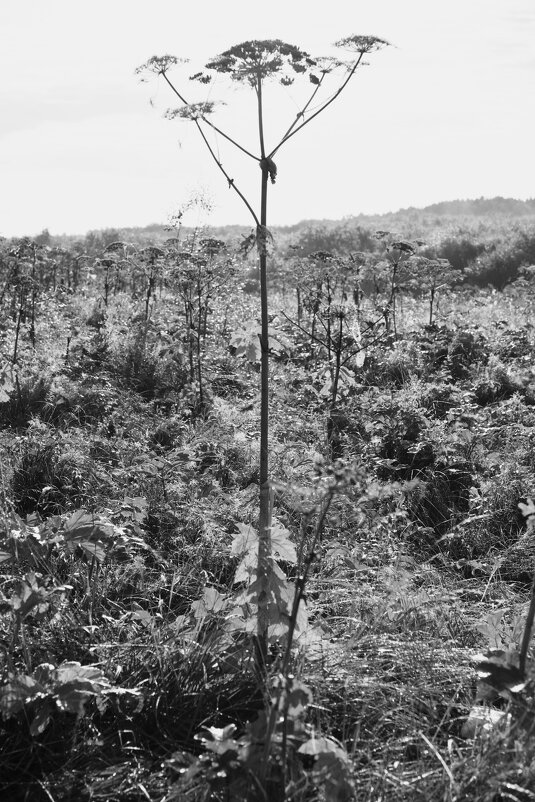 Название отсутствует - Денис Безногов Название отсутствует - Денис Безногов