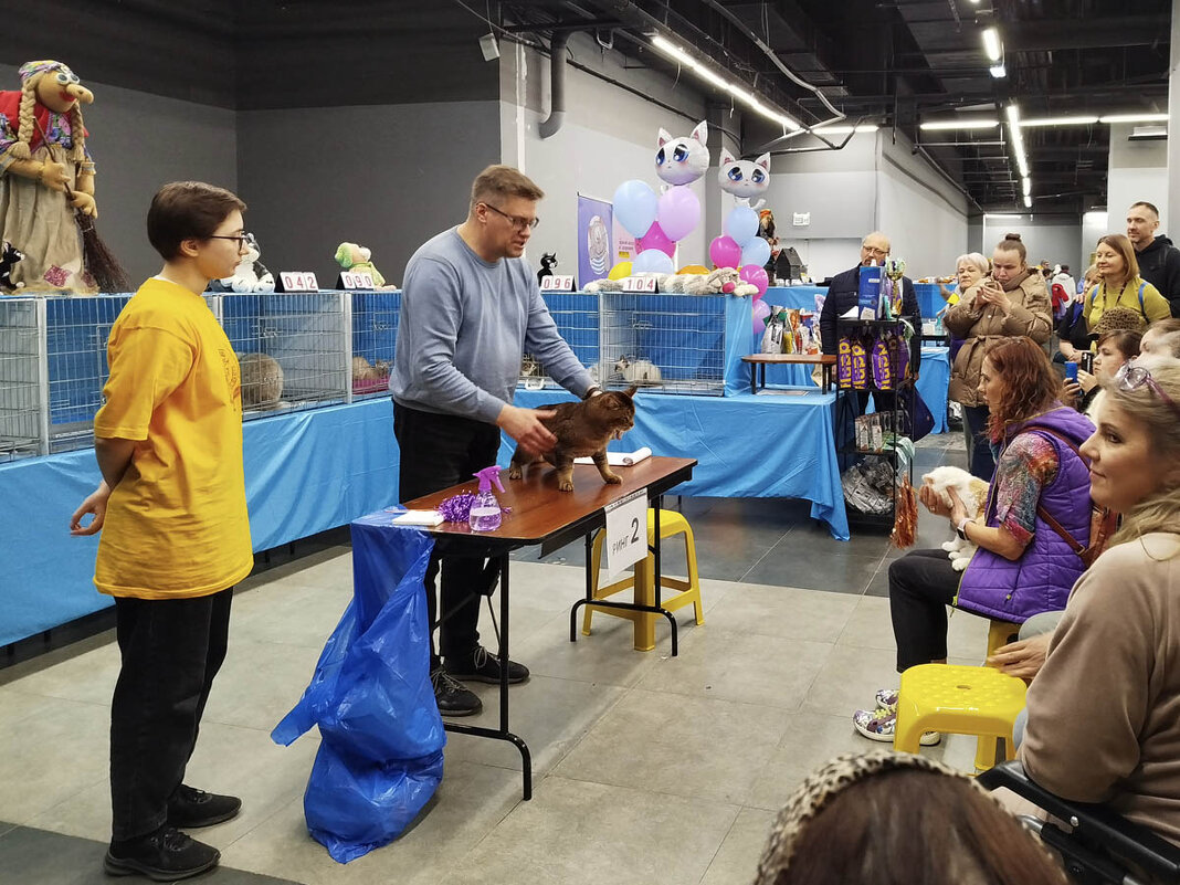 ГАГАРИНСКИЕ_КОШКИ_17 - Сергей Янович Микк ГАГАРИНСКИЕ_КОШКИ_17 - Сергей Янович Микк