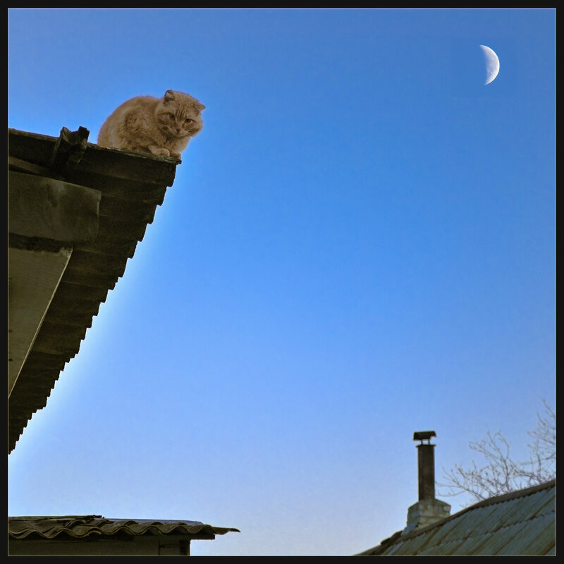 Вечер в деревне - **** vedin