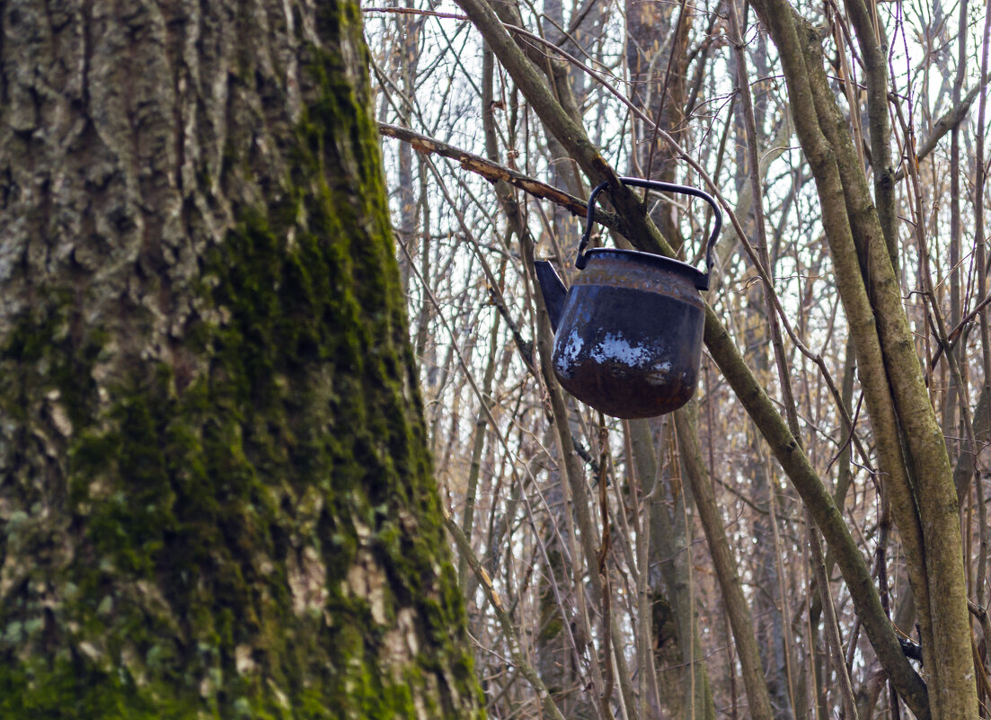 Леший чайком баловался - Сергей Цветков Леший чайком баловался - Сергей Цветков