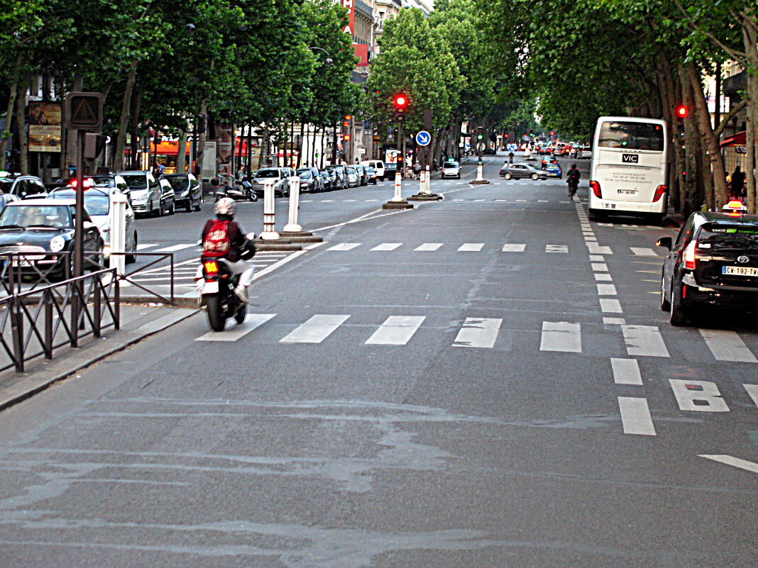 Париж. - Владимир Драгунский