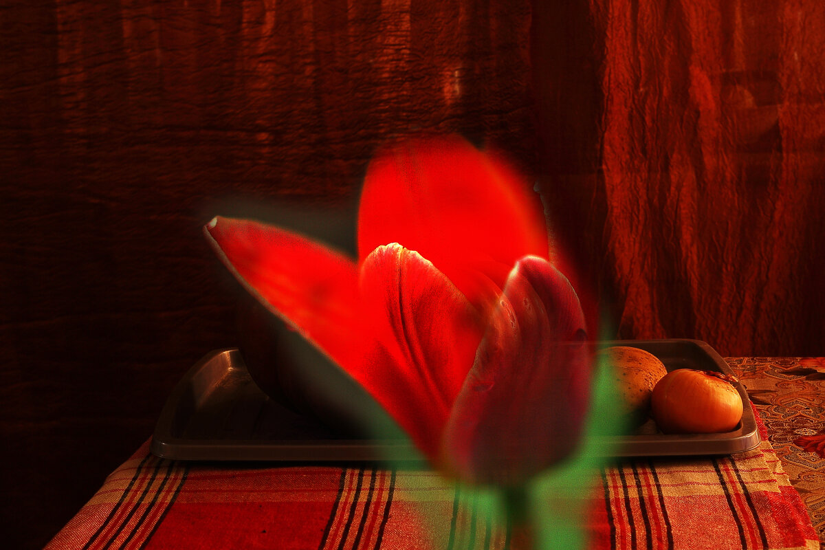 Тюльпан - Юрий Гайворонскiий Тюльпан - Юрий Гайворонскiий