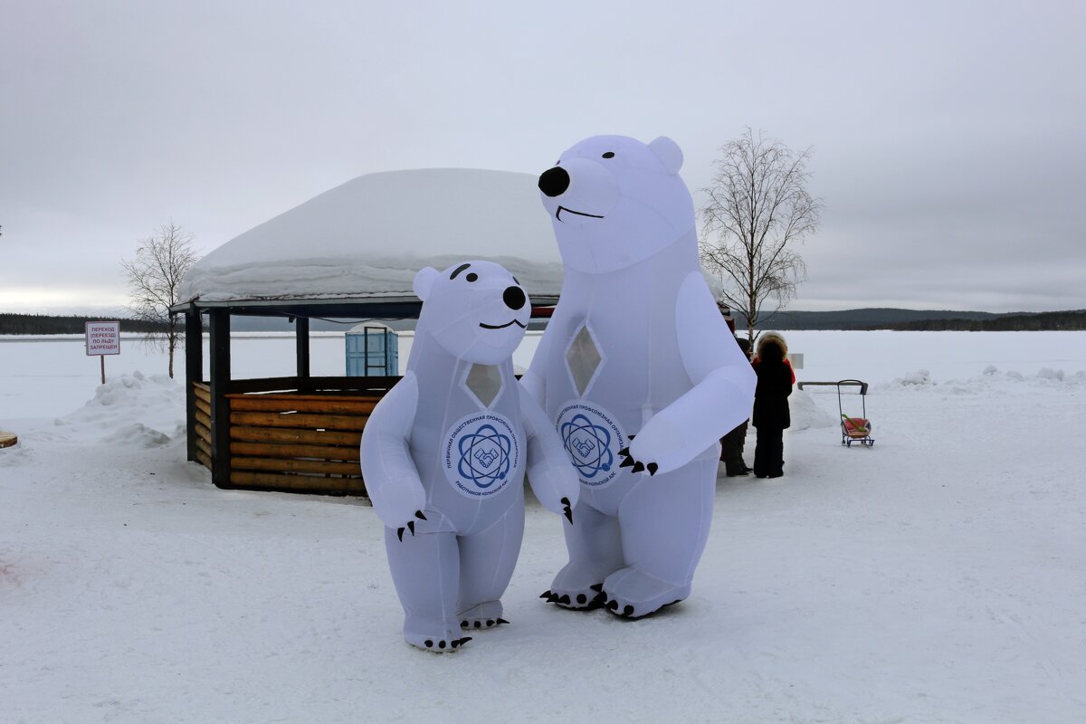 Мишки на севере - Ольга Мишки на севере - Ольга