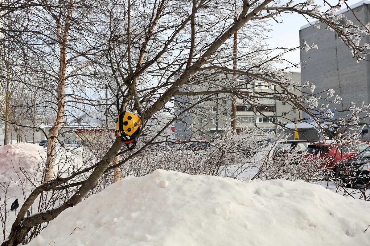 Это я попала... - Ольга Это я попала... - Ольга