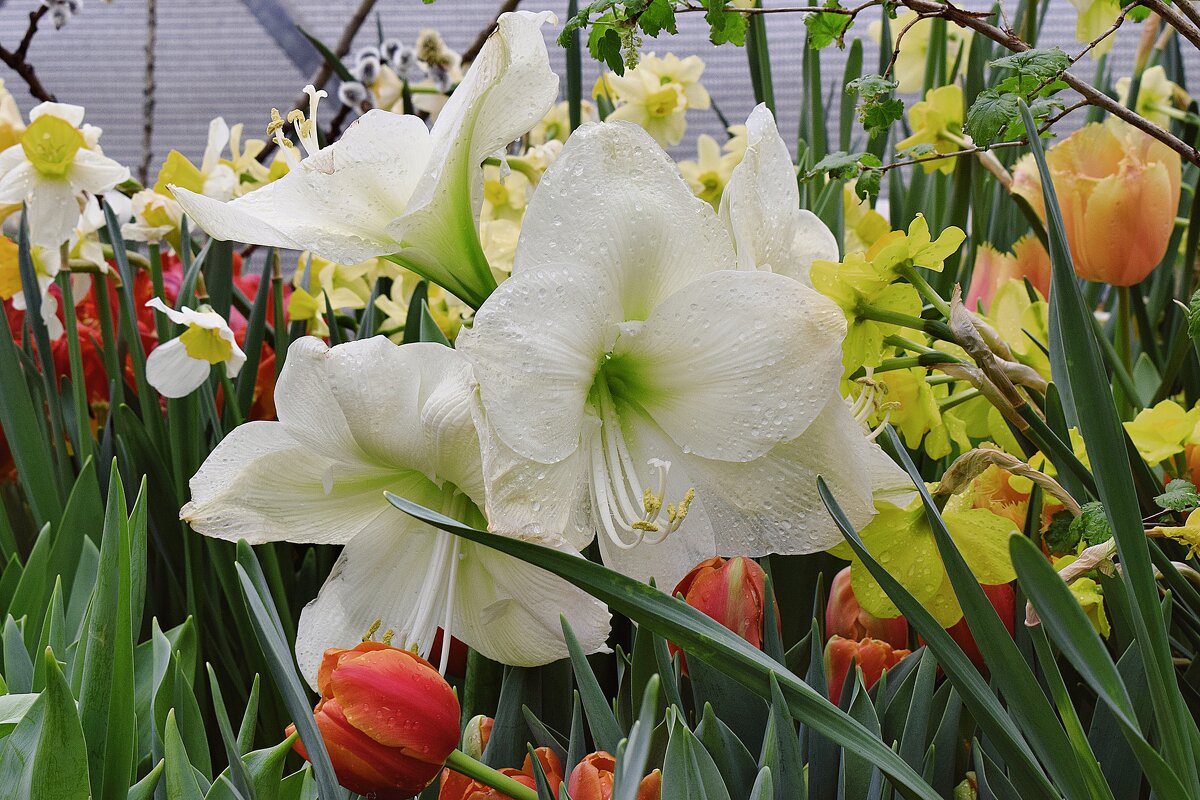 Позади остался март. - Татьяна Помогалова Позади остался март. - Татьяна Помогалова