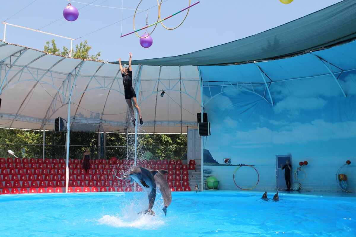 Акробатический полёт - Олег Зоркий