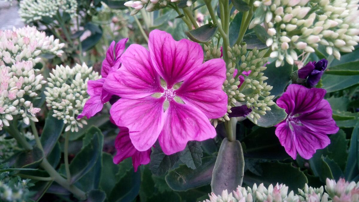 ,,, - Сергей Тимоновский ,,, - Сергей Тимоновский