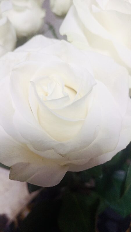 Белая нежность - Iren Brilliance