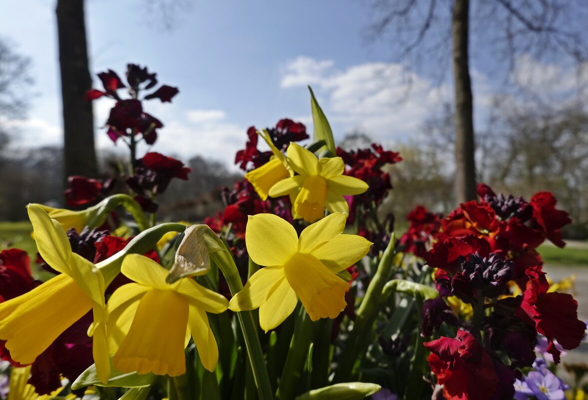 Цветотерапия в ботаническом саду... - Галина 