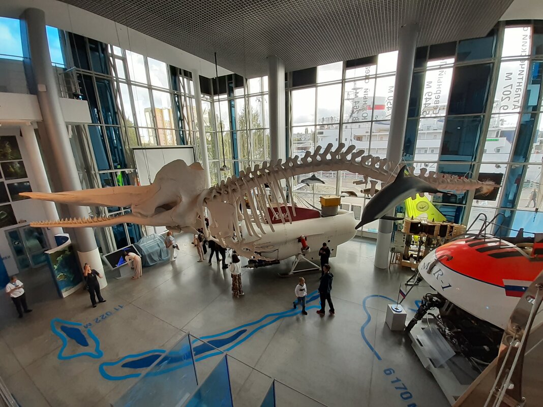 В музее Мирового океана - Галина Минчук В музее Мирового океана - Галина Минчук