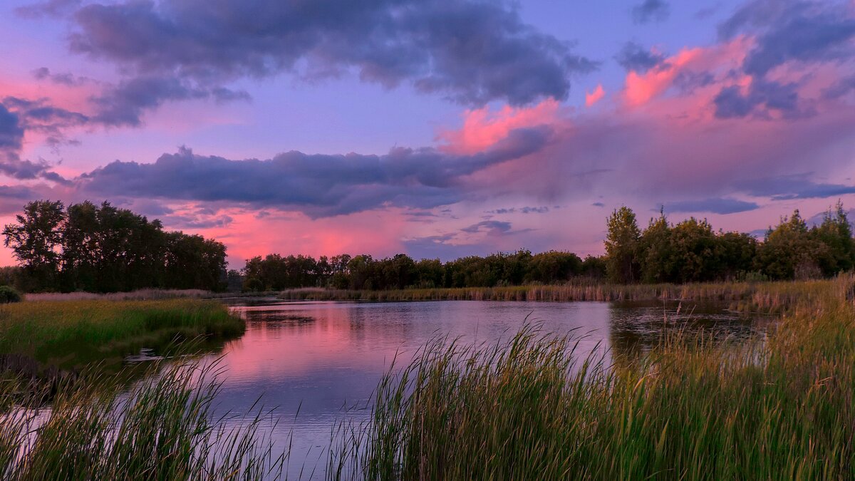 Пруд. - Татьяна Нефедьева. Пруд. - Татьяна Нефедьева.