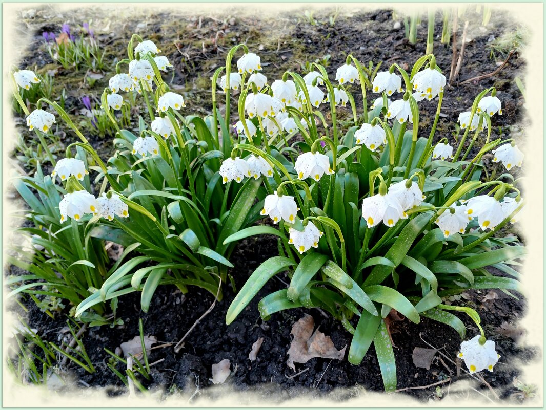 С 1 апреля! - Лия ☼