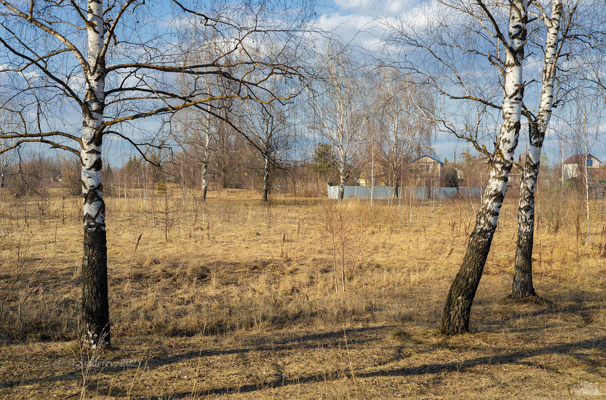 Весенняя природа марта - Александр Синдерёв