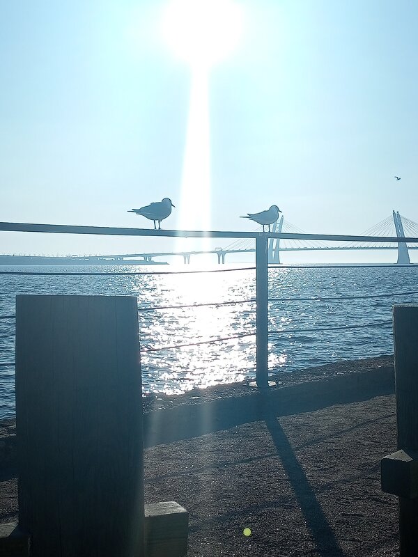 Санкт-Петербург - Юра Светлаков Санкт-Петербург - Юра Светлаков