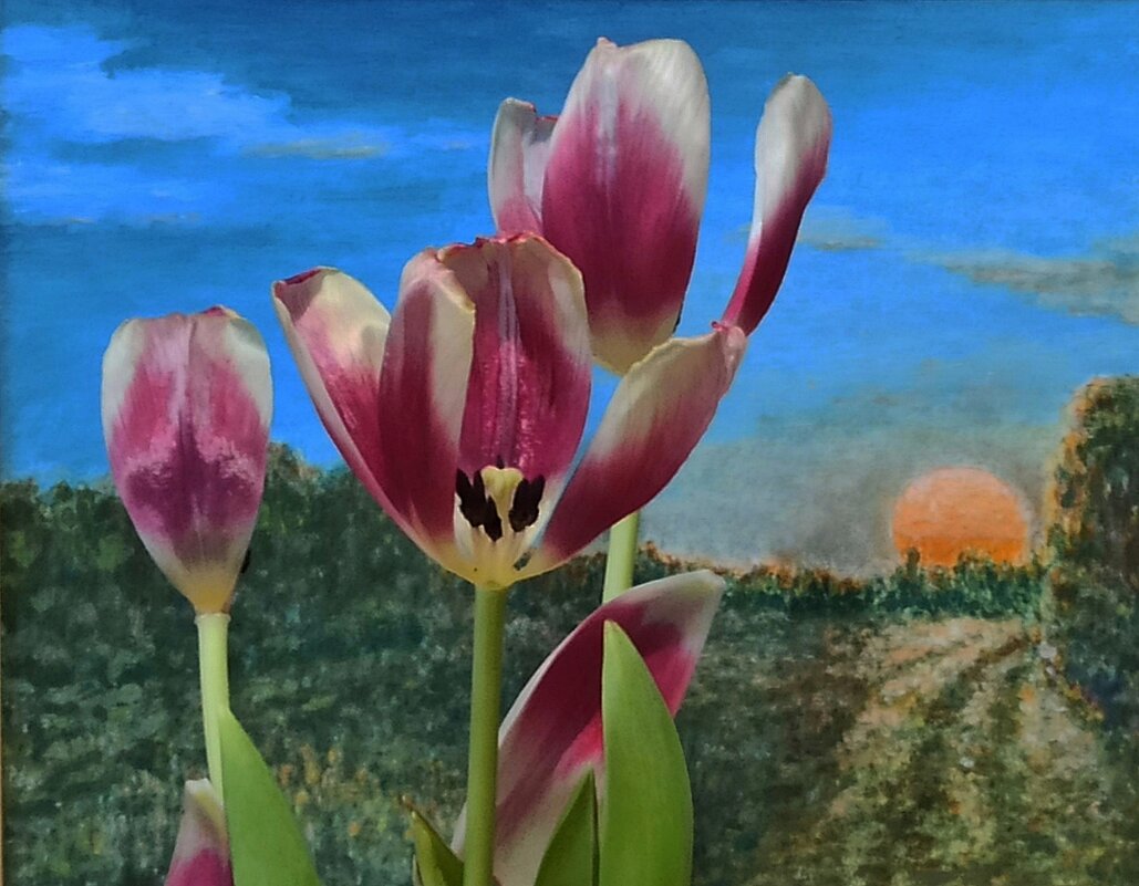 НА ЗАКАТЕ - veilins veilins НА ЗАКАТЕ - veilins veilins