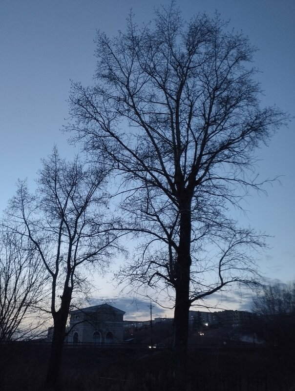 **** - Александр Николаев **** - Александр Николаев