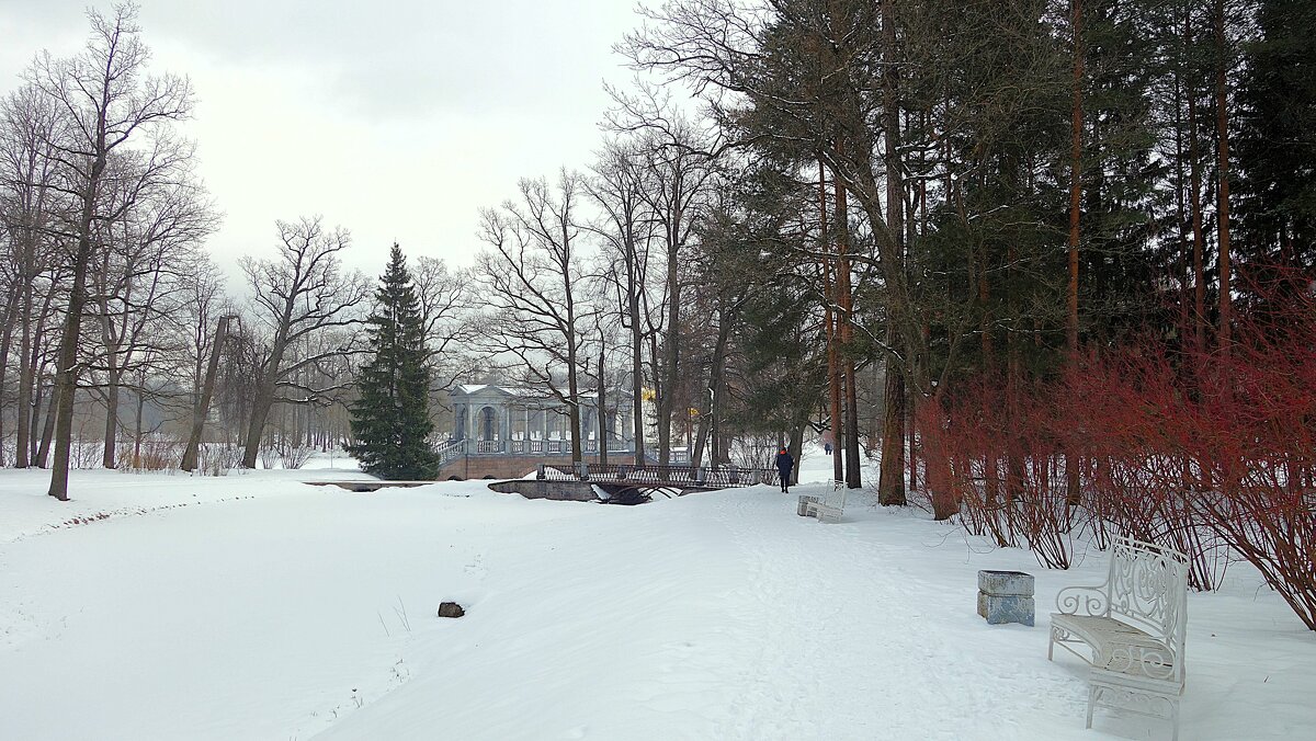 В старинном Парке... - Sergey Gordoff