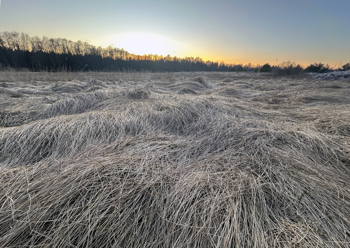 Первые дни весны - Дмитрий Иванов Первые дни весны - Дмитрий Иванов