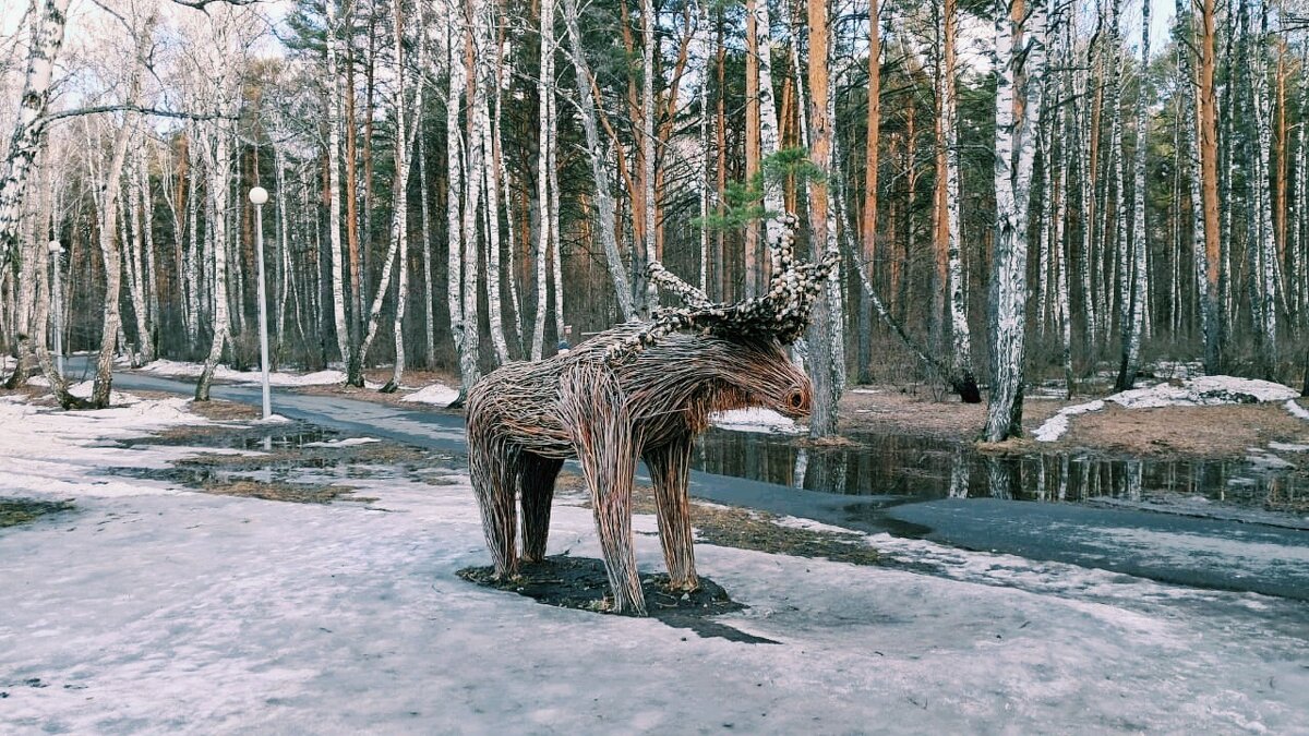 Тюмень - Георгиевич 