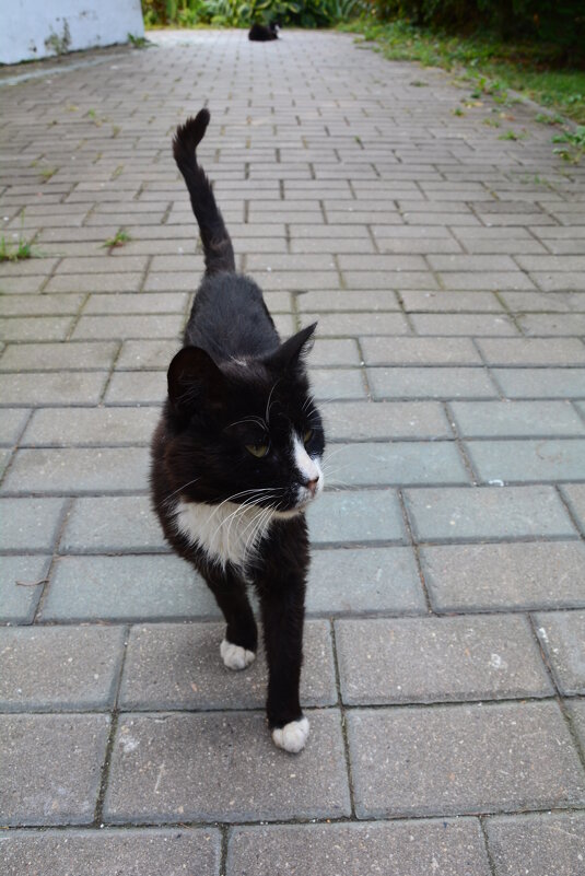 иду к вам... - Галина R...