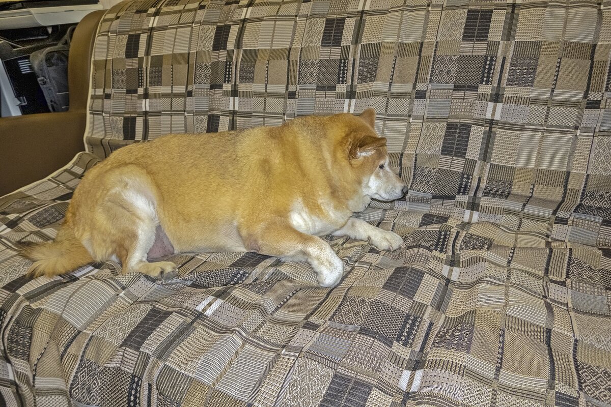 Не хочет фотографироваться - Валерий Иванович