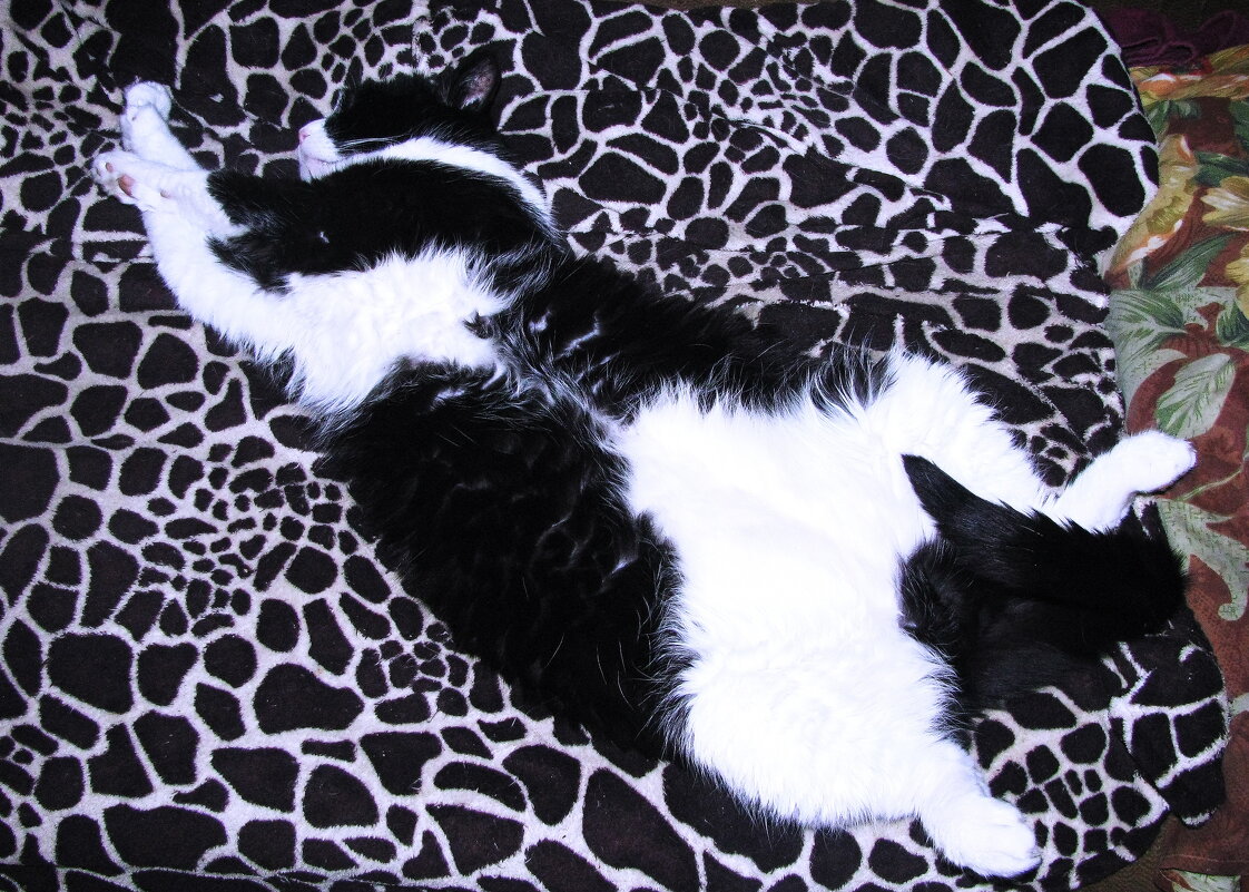 В дождливый день - Людмила Смородинская