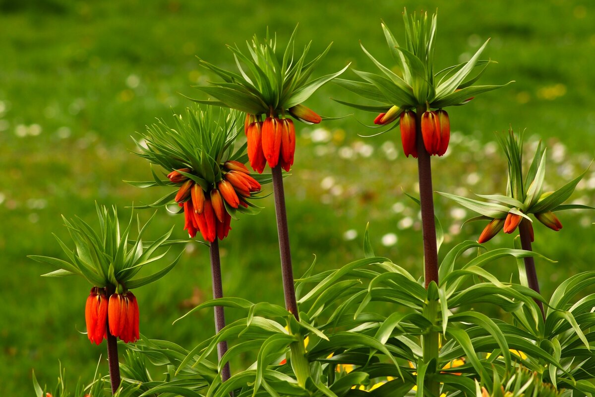 Весна пришла - Юрий. Шмаков Весна пришла - Юрий. Шмаков