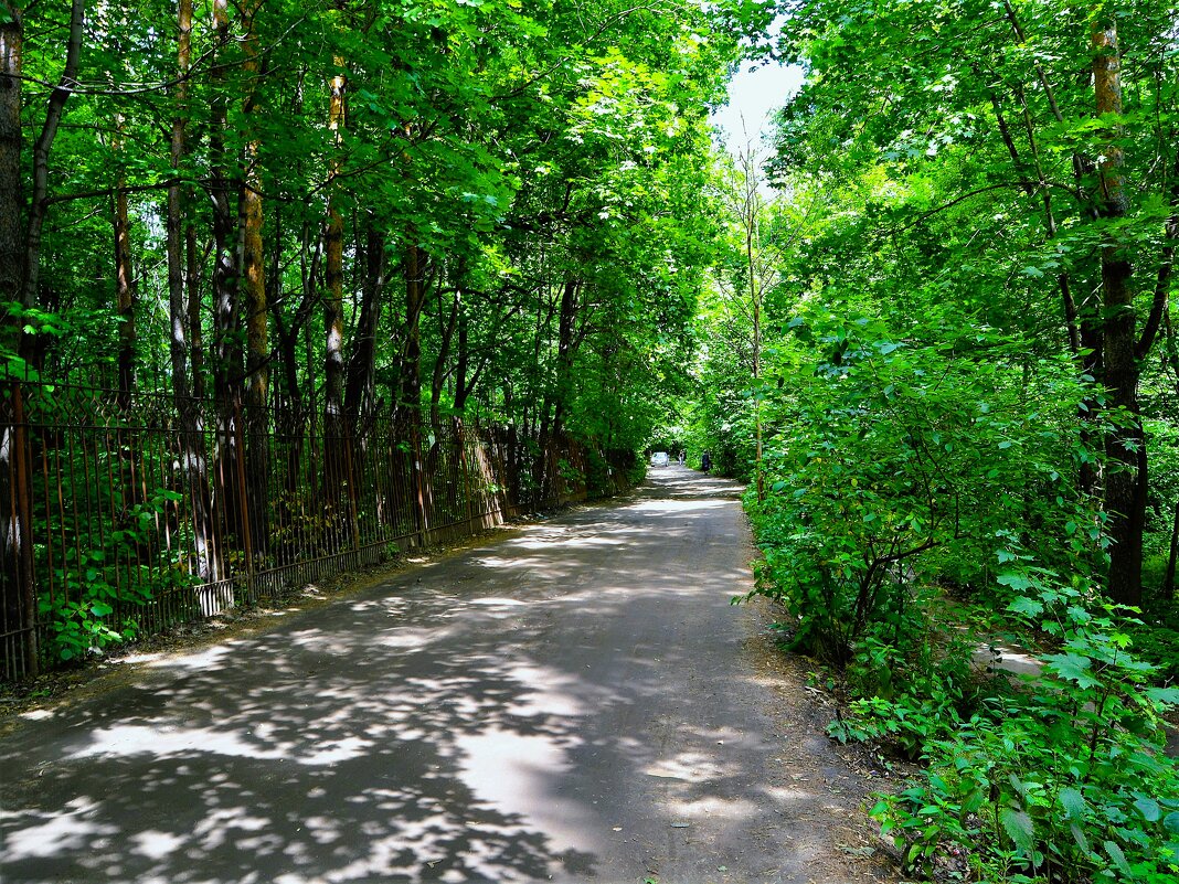 Чебоксары. Дорога вдоль южной окраины Ботанического сада. - Пётр Чернега Чебоксары. Дорога вдоль южной окраины Ботанического сада. - Пётр Чернега