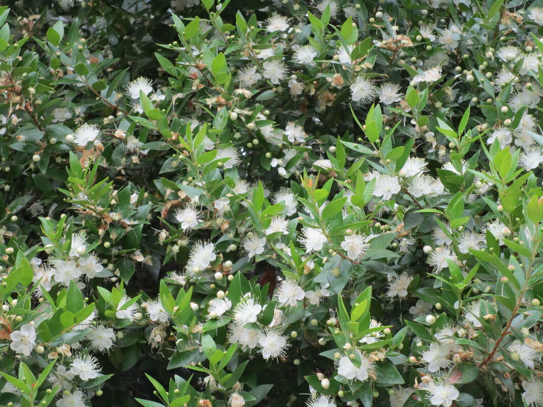 Мармарис июнь Турция - Елена Шаламова Мармарис июнь Турция - Елена Шаламова