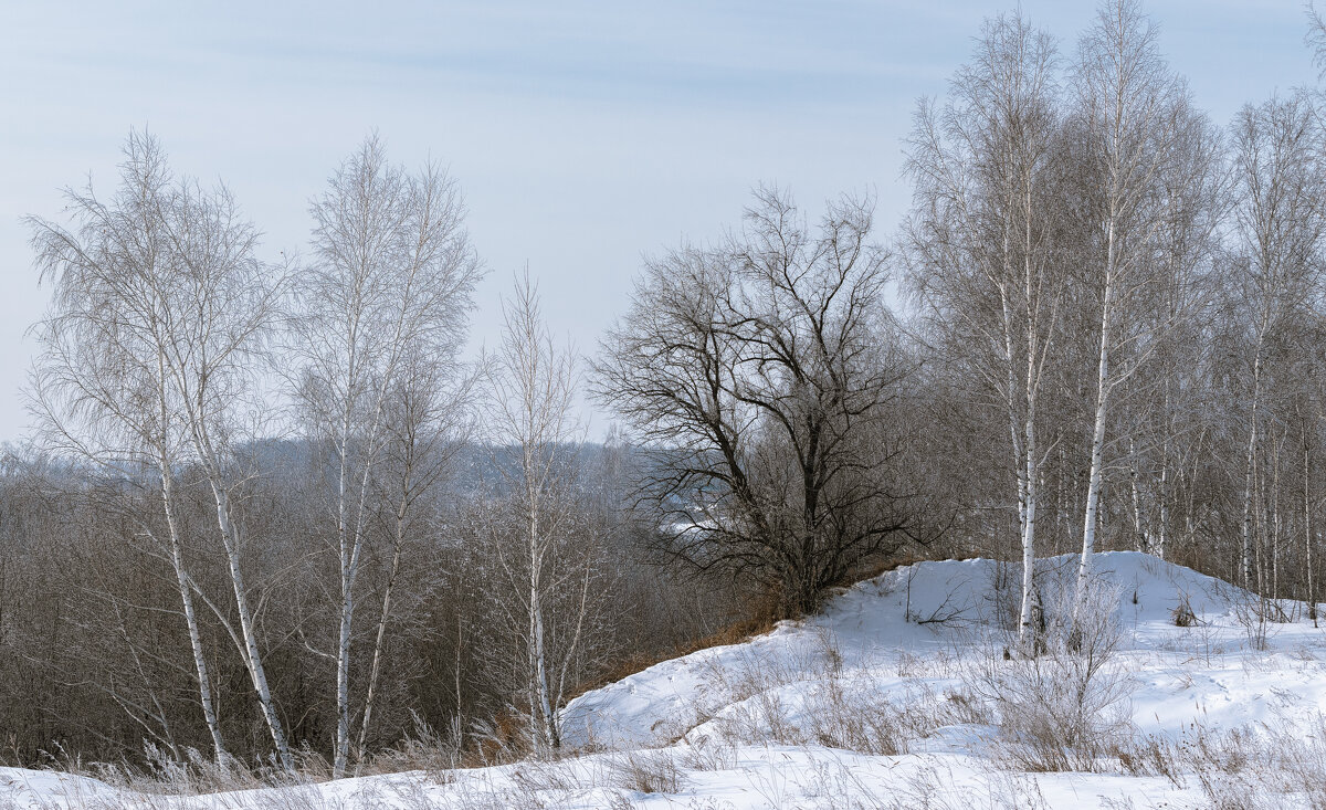 ***** - Володька Завитушкин ***** - Володька Завитушкин