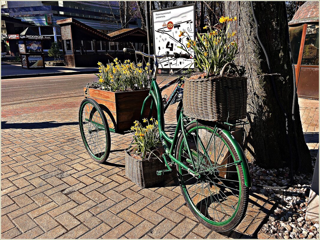 На улочках Светлогорска. - Валерия Комова На улочках Светлогорска. - Валерия Комова