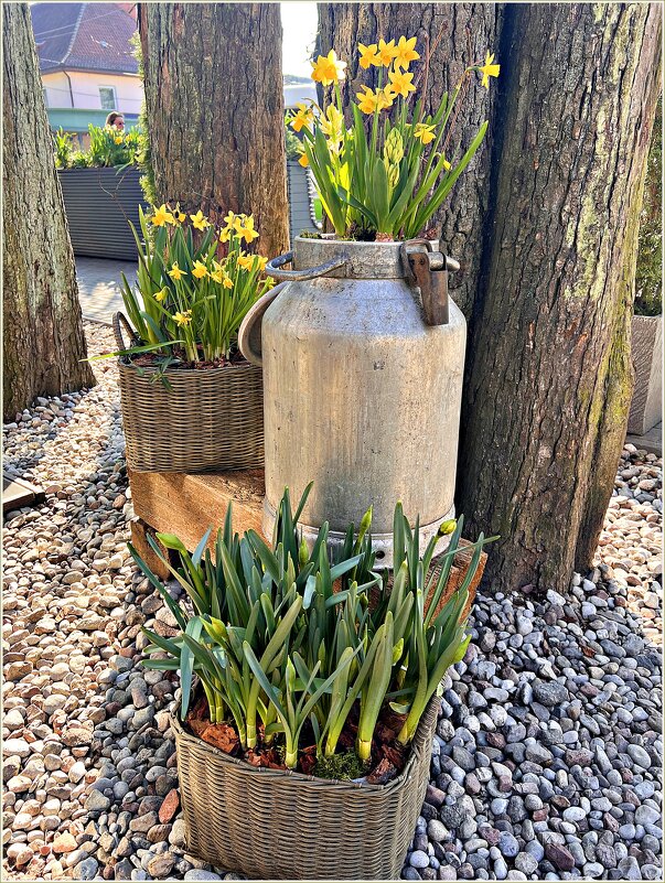 На улочках Светлогорска. - Валерия Комова На улочках Светлогорска. - Валерия Комова