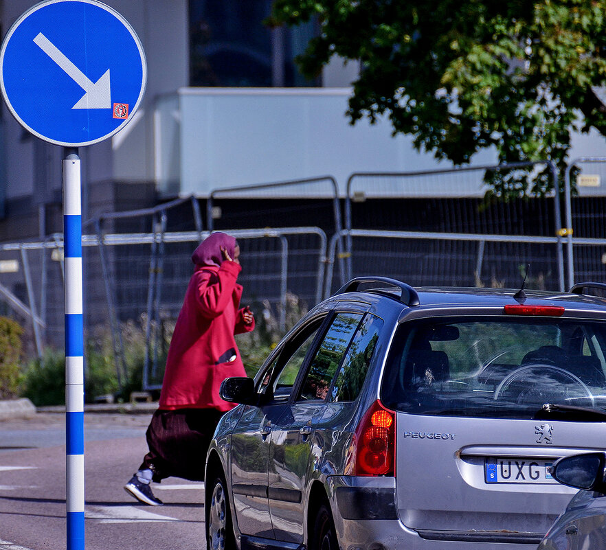 Только что все узнали, куда им "ехать" надо ... - Alexandеr P