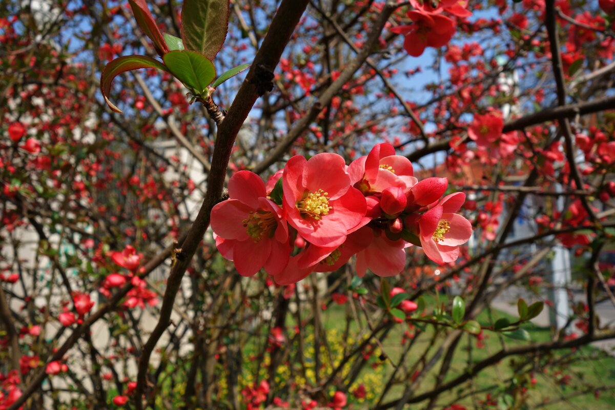 "Боже мой, как всё красиво!  Всякий раз - как никогда.  Нет в прекрасном перерыва..." - Галина 