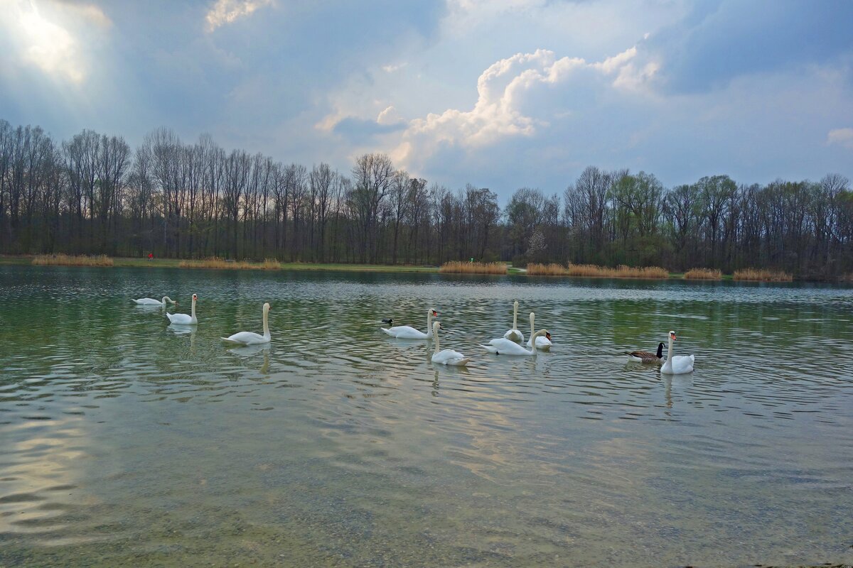 ... - Галина ... - Галина