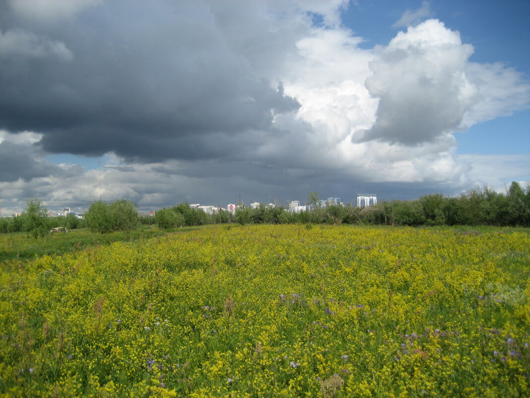 Лето - Anna Ivanova