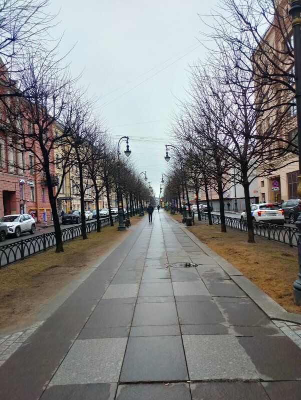 В Санк-Петербурге. Весна в городе - Ирэн 