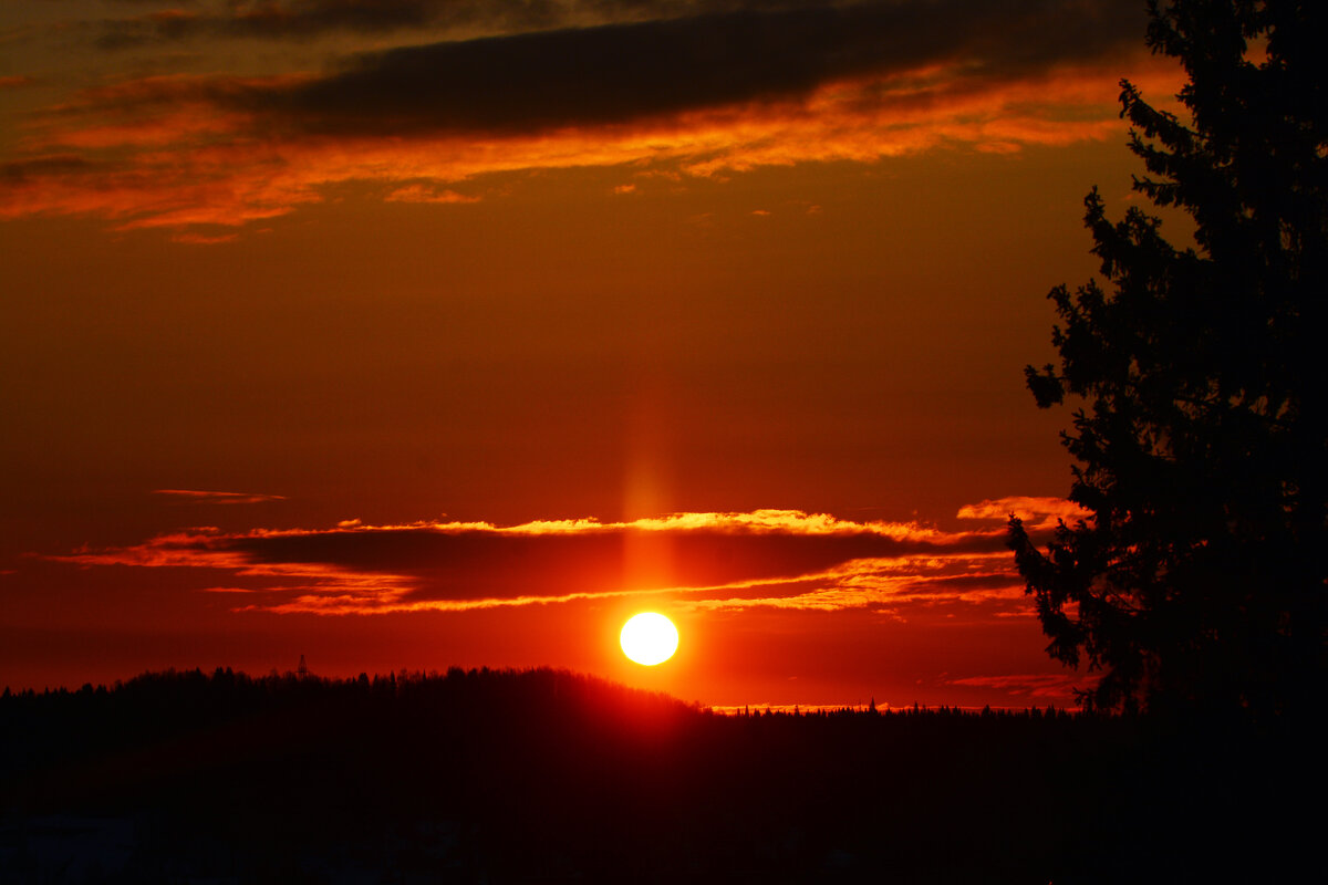 утро - леонид логинов утро - леонид логинов